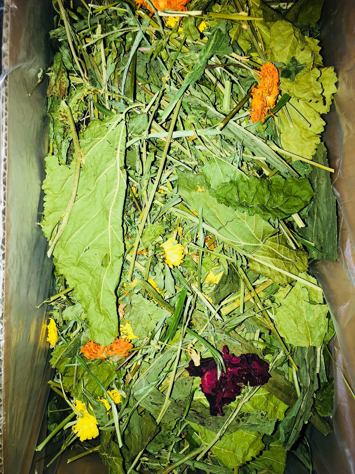 Grinding Home 21 years New grass Shepherd Feast Clover Grass Mention Mosatian Wheat Grass Drying Nutrient Feed