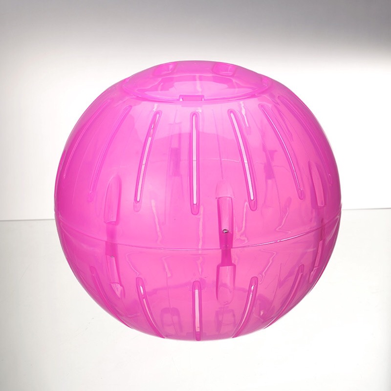 Oversized Chinchilla running ball Chinchilla wind toy diameter 31cm Prevention of depression Adjuvant treatment of biting cats