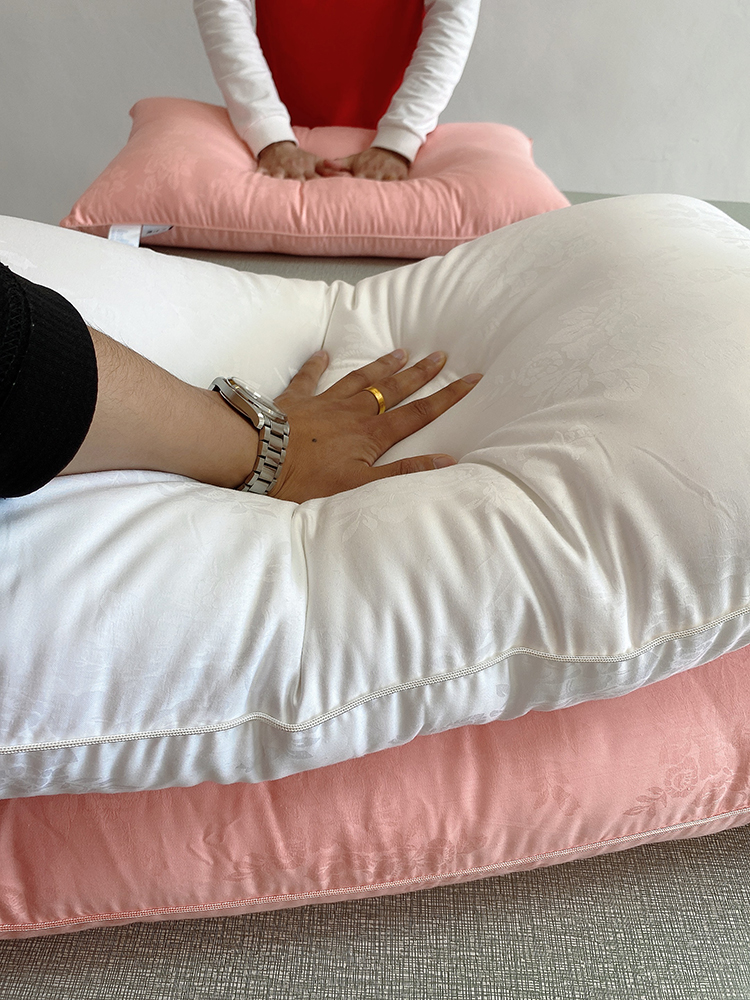 Exclusive Design Skin Beautifying Silk Pillow Single Cervical Support Sleep Adult Home Pillow Super Soft Hotel Pillow