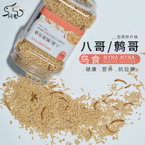 High calcium Liangyu starling bird food canned bread worm dried wren starling nutritional bird feed Anti-laxative bird food