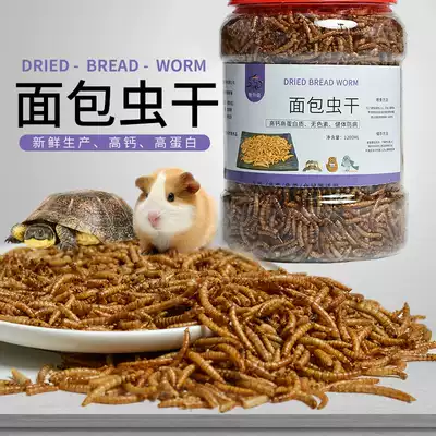 Broth snack bread worm dried yellow mealworm parrot food hamster supplies Golden Bear feed Turtle Bird staple food