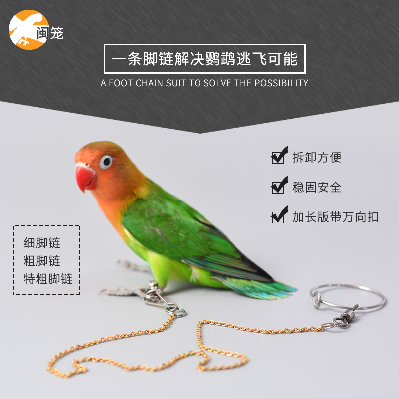 Stainless steel parrot foot chain alloy U-foot ring tiger leather peony wren octave pigeon bird stand bracelet birdie foot ring