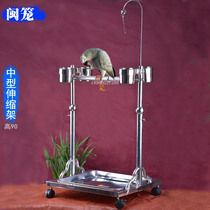 Parrot stand rack Medium and large stainless steel gray parrot rack Xuanfeng starling wren bird rack Ornamental interactive bird rack