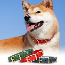 Dog collar custom leather kitten puppy Teddy Shiba cute collar collar collar name brand lettering anti-lost