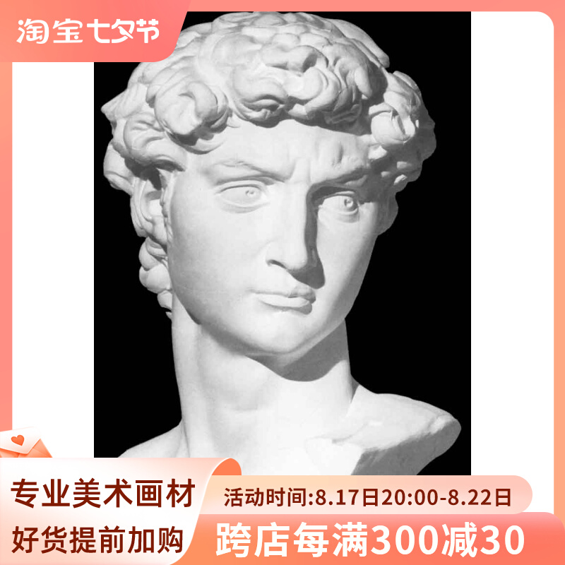 Fine art Supplies drawing material David plaster Head (67CM) sketch sketches of raw teaching aids plaster statue-Taobao