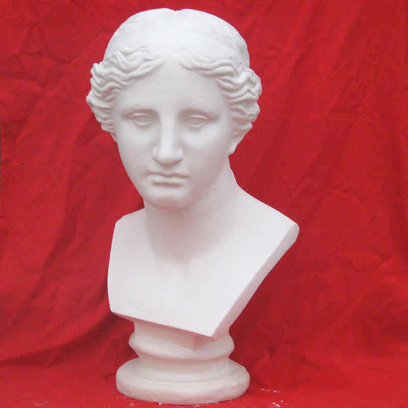 Fine art artistic textbook drawing materials depict plaster image of Venus head 49CM