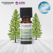 Tisserand silk Berber essential oil 9ml unilateral face control oil face lifting tight aroma body massage essential oil
