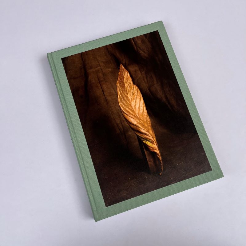 Photographs by Joel Meyerowitz Photography Review Portfolio