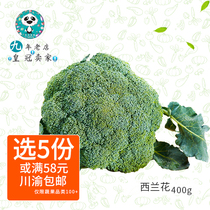 Fresh Broccoli Fresh quality Vegetable Broccoli 400g Sichuan-Chongqing 5 pieces of farmhouse Vegetable Fresh Vegetables