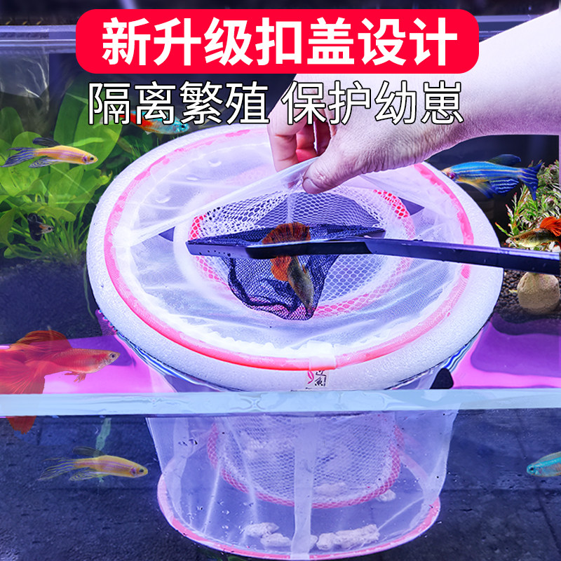 Peacock fish breeding box hatching dense web floating mesh multifunction hatching mesh small fish production of aquarium fish tank Isolation Network-Taobao