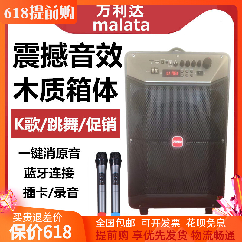 Vanlida 8 Inch 12 Inch Outdoor Square Dance High Power Sound Portable mobile Rally K song speaker ground spreader