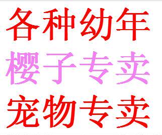 Magic Baby Nostalgic Shepherd Pet Mantis Golden Dragon Red King Water Dragon Fire Knife Flying Eagle Mission Pet