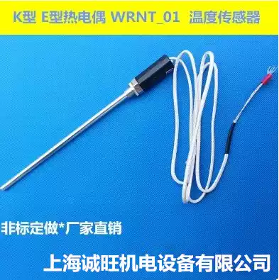 PT100 stainless steel sensor to catch the temperature rod to catch the temperature line Oven oven thermostat monitor