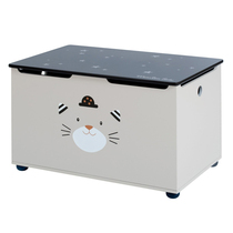 The original single is good to collect ~ the last time the elephant didnt get photographed ~ childrens toy containing box storage box book box