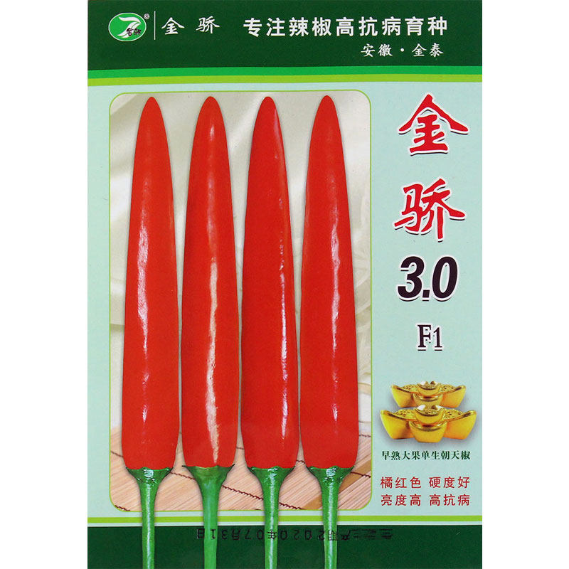 Jinjiao 3 Jinjiao Taiyan Single raw Chaotian pepper seed Large fruit type vegetable high yield seed vegetable relict pepper seed