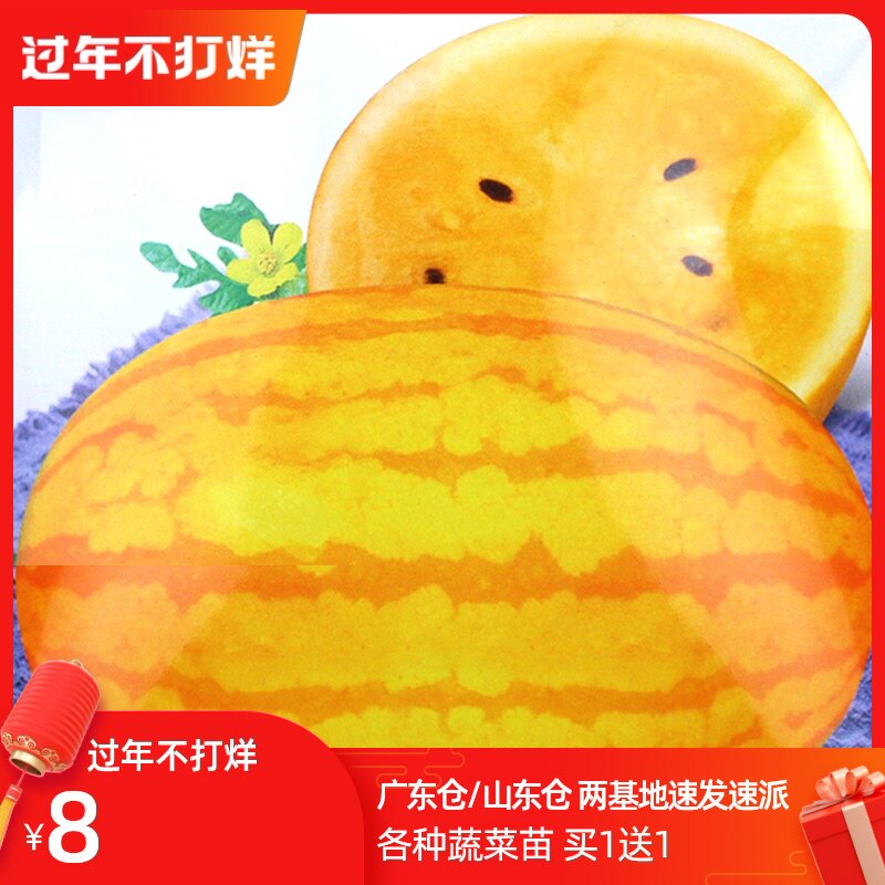 Ansheng yellow beauty watermelon seeds seeds yellow skin yellow flesh crispy sweet yellow heart Spring Southern fruit larvae