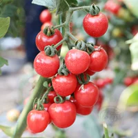 Светло-серый