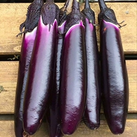 Светло-коричневый