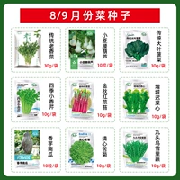 Август/сентябрьский пакет овощных семян