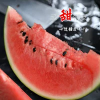 Красный 8424 семена арбуза около 100