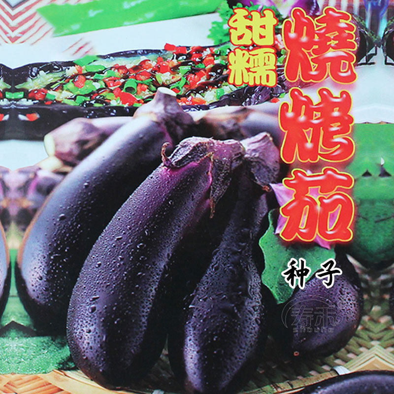 Barbecue long eggplant seeds seedling Black purple long eggplant Extra large eggplant seedlings Four seasons potted seedlings vegetable seedlings