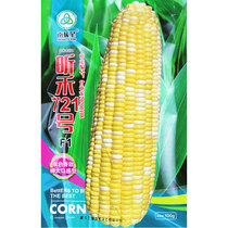 Antarctic star Xinhe super sweet fruit corn seeds Sweet glutinous seeds sticky Four Seasons high yield big sweet