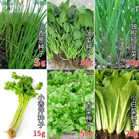 Семейный пакет Four Seasons