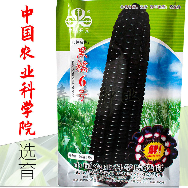 Black glutinous black corn seeds Fruit corn seeds Sweet glutinous high yield sticky four seasons black corn relict high yield sweet glutinous fragrant