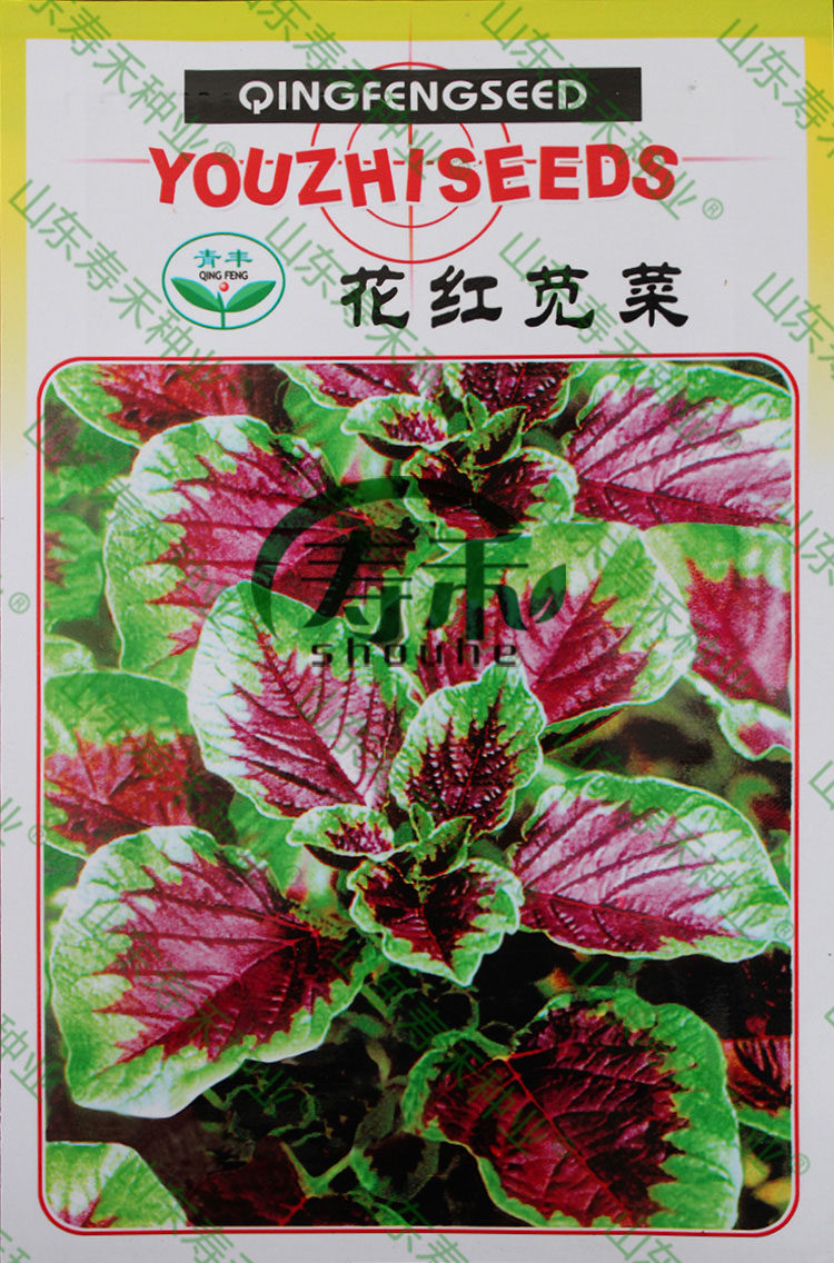 Green red seeds Amaranth seeds Family garden balcony seasonal potted greens specialties
