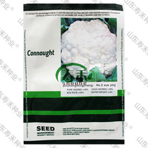 Dutch Xueying 1 No. 2 cauliflower seeds cauliflower seeds Cauliflower seeds 60 days to 75 days