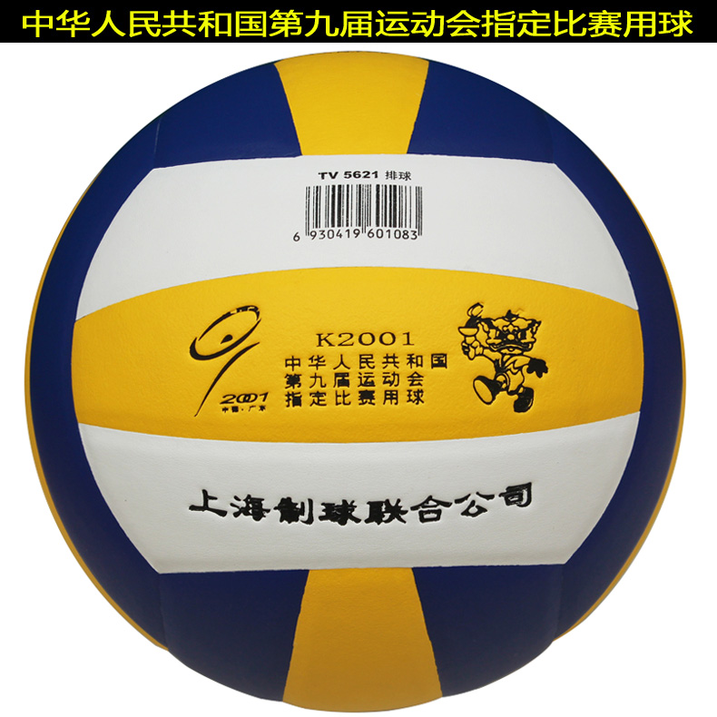 Ballon de volley-ball TRAIN - Ref 2007917 Image 12