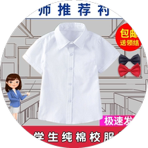 Boy short sleeve white shirt pure cotton Children Summer slim fit white shirt CUHK Scout clothes Primary school Childrens school uniforms