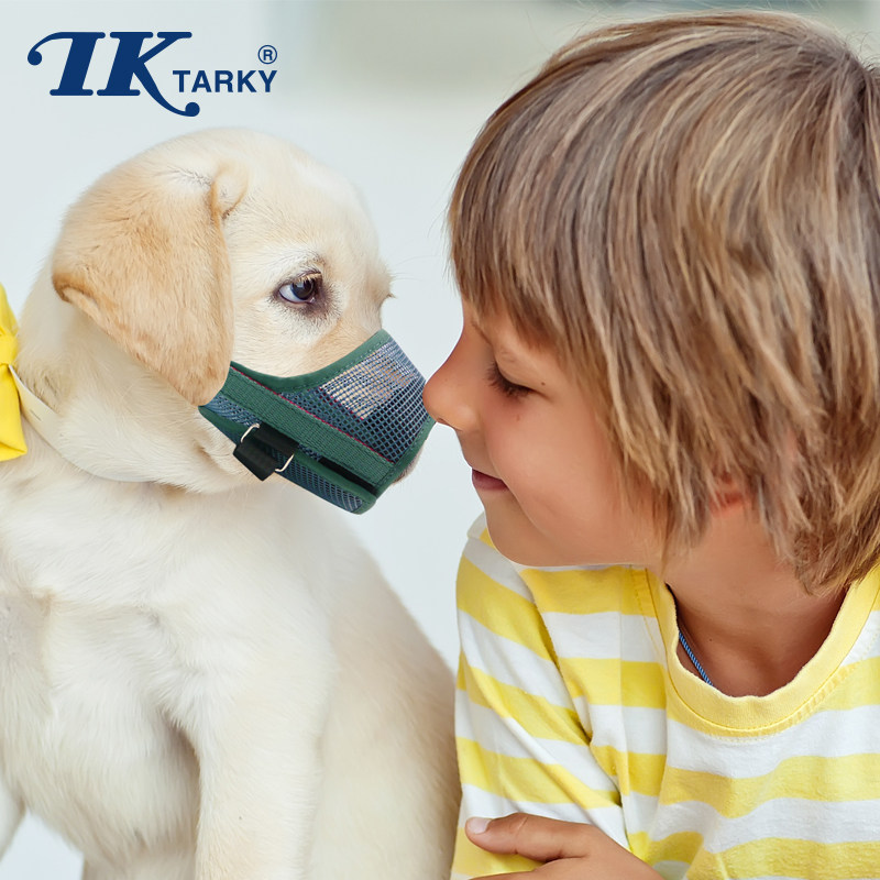 Japan TARKY dog mouth cover anti-bite dog mask anti-scream anti-mess eating teddy small golden hair large mouth cover