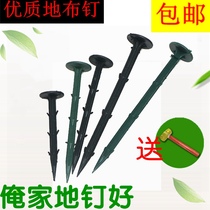 Xinjiang grass-proof cloth ground nails plastic ground nails thickened and elongated fruit gardening ground cloth nails pull branches to fix the greenhouse floor