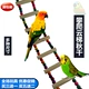 Parrot swing thang treo cầu thang cung cấp trạm cắn cắn Xuanfeng chim molar leo lên trạm lồng chim đồ chơi - Chim & Chăm sóc chim Supplies 	cám cho chim chào mào thay lông	 Chim & Chăm sóc chim Supplies