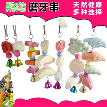 Parrot cuttlefish bone gnawing Xuanfeng toy peony calcium molars tiger skin food station stand bird cage supplies