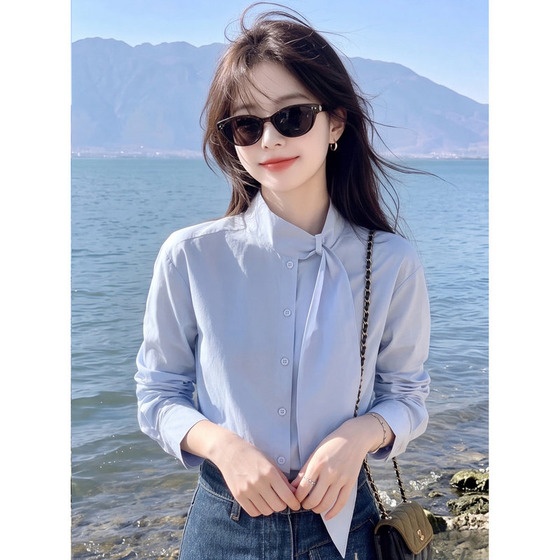 Light Blue Stand-Up Collar Ribbon Shirt for Women, Autumn French Style Elegant Tie Long-Sleeve Blouse, Simple Versatile Top for Work