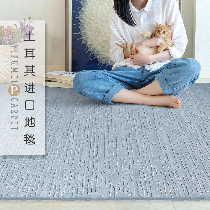Turkey Imports Modern Simple Light Luxury Nordic American New Chinese Blue ins Living Room Bedroom Full Carpet