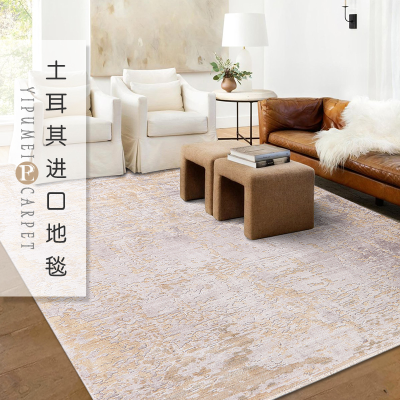 Turkey imported new Nordic ins modern light luxury plain tea table carpet American living room bedroom bedside blanket