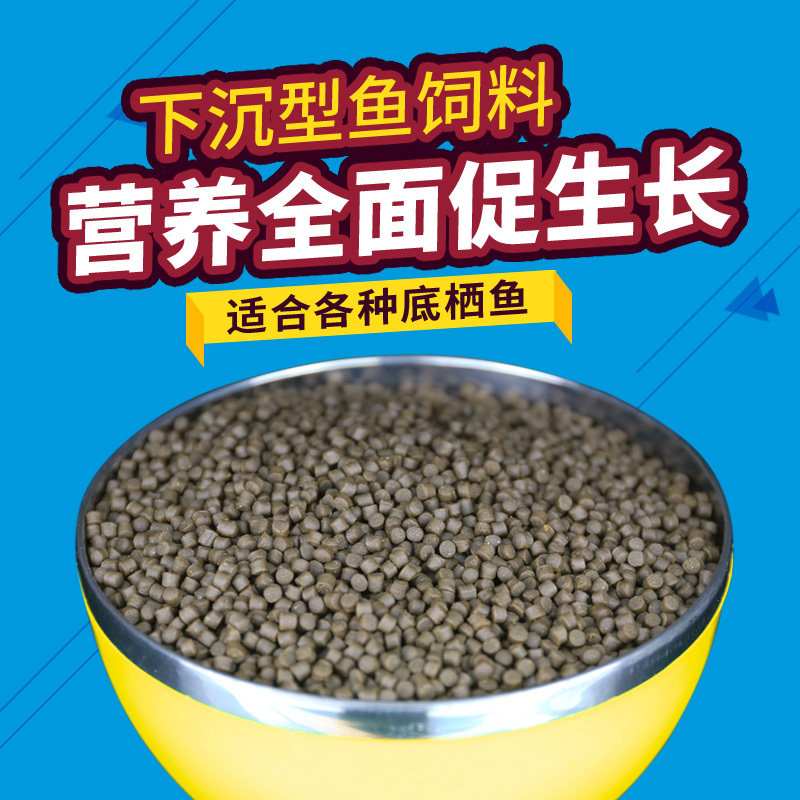 Sink-type feed sinking bottom fish grain bottom shelter fish fish feed slow down bottom grain Irregular Fish Fish Food Sink Fish Food Fish Food Fish Food Fish Food Fish Food Fish Food Fish Food Fish Food Fish Food Fish Food Fish Food Fish Food Fish Food Fish Food