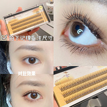 Please note the size of the scarecrow Barbie doll grafted eyelashes naturally thick single cluster false eyelashes