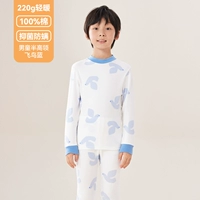 En0011-Bird Blue-Boy (Half High Sece))