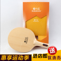 Attractive KOKUTAKU can cool cherry blossom B2015 B- 2015 single juniper base plate
