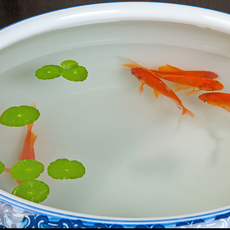 Jingdezhen ceramics porcelain bottle daikin tank cylinder tortoise refers to basin of household water lily lotus garden furnishing articles