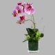 Chất lượng cao Phalaenopsis hoa nhân tạo hoa nhân tạo phòng khách bàn ăn bàn cà phê bình hoa trang trí tủ TV hoa trang trí - TV