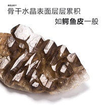 Lingshi about natural large crocodile backbone crystal rough table table ornaments semi-precious stone healing skeleton column
