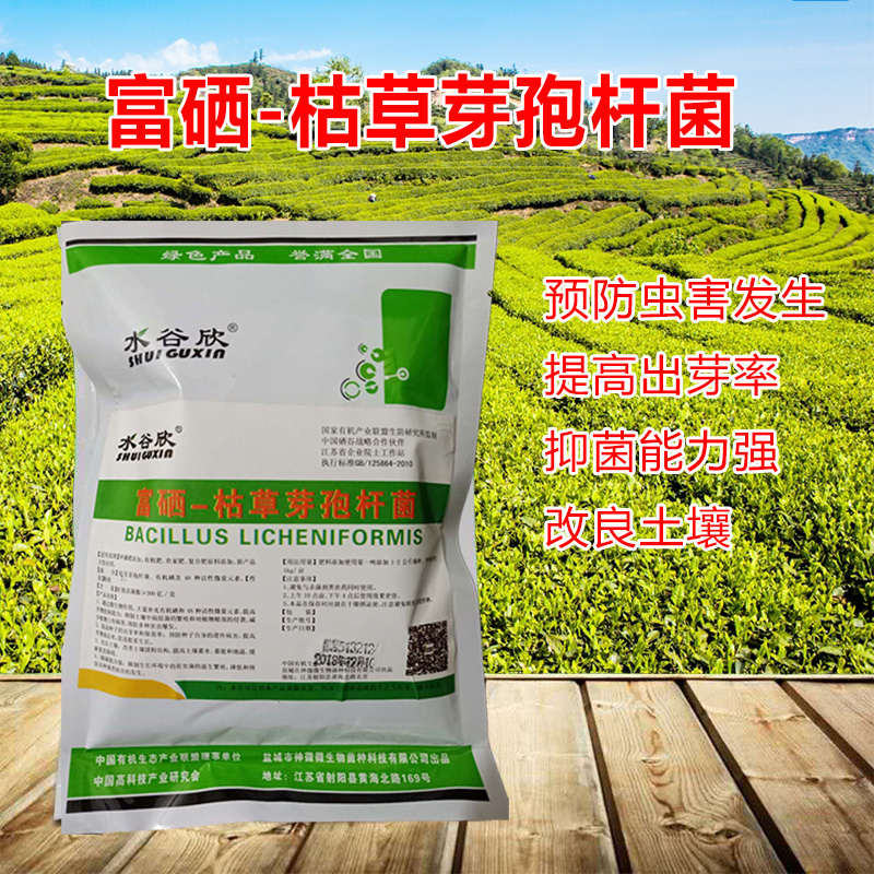 Fertilizer grade of the dry bacillus bacillus