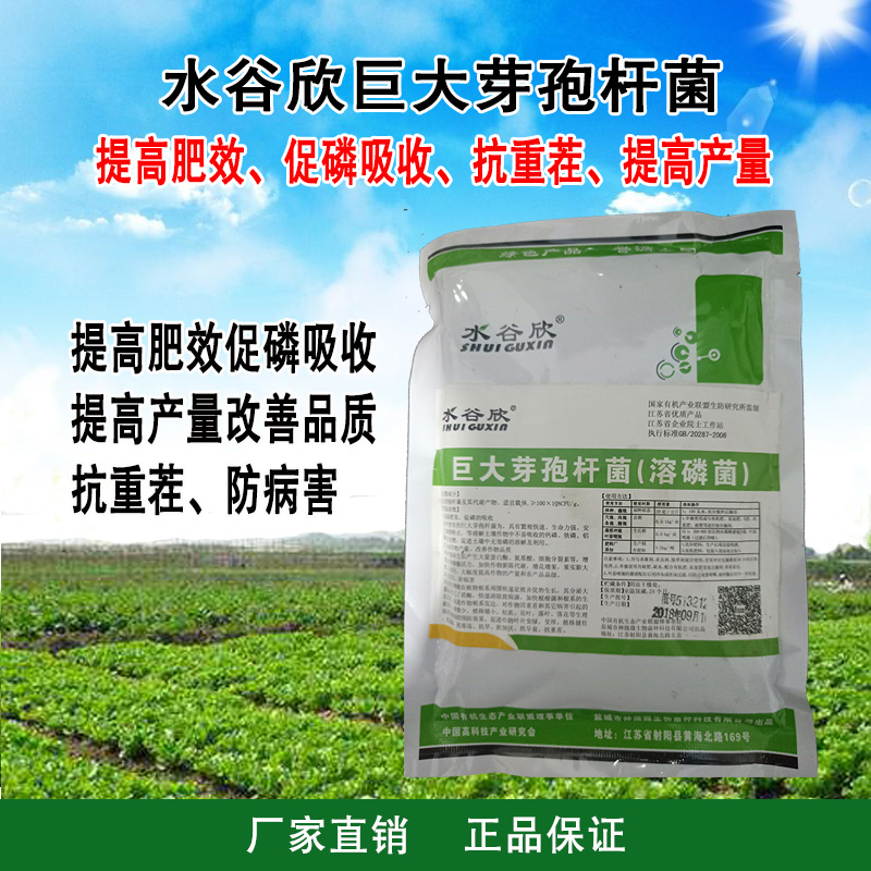Water Valley Xin with huge amount of bacteria resistant to heavy stubble anti-disease