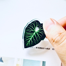 Orange star high-light candle clip stationery file book long tail clip photo clip ins wind original hot planting around