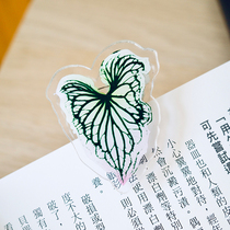 Orange star high photo color leaf taro clip pink harmony Thai beauty file book photo clip original hot planting around